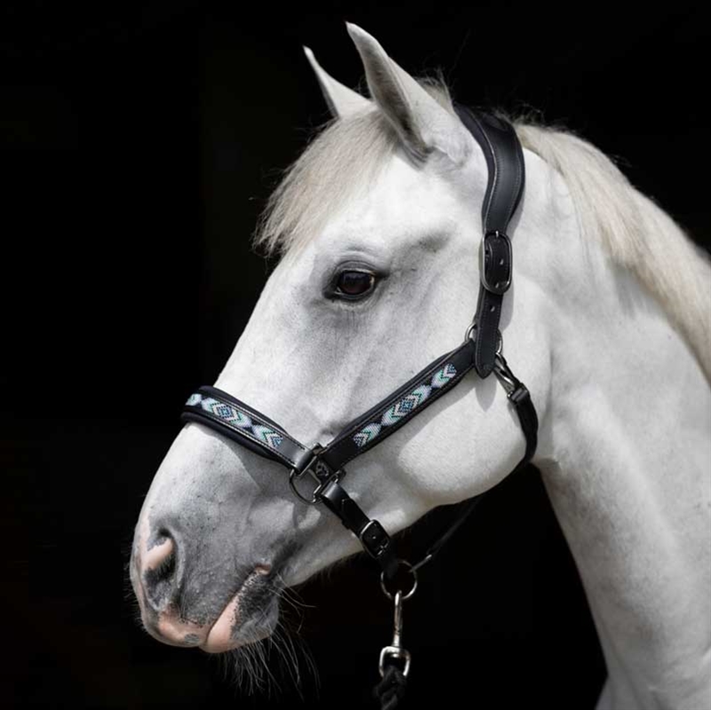 Catago lædergrime "Anamo" - sort