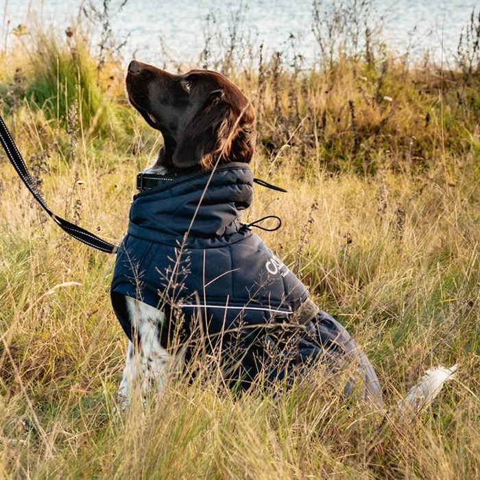 CATAGO FIR-Tech "Trainer udedækken" hund - Night Sky