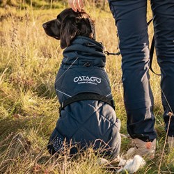 CATAGO FIR-Tech "Trainer udedækken" hund - Night Sky set bagfra