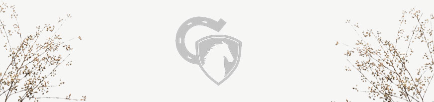 Cavaleros banner - logo