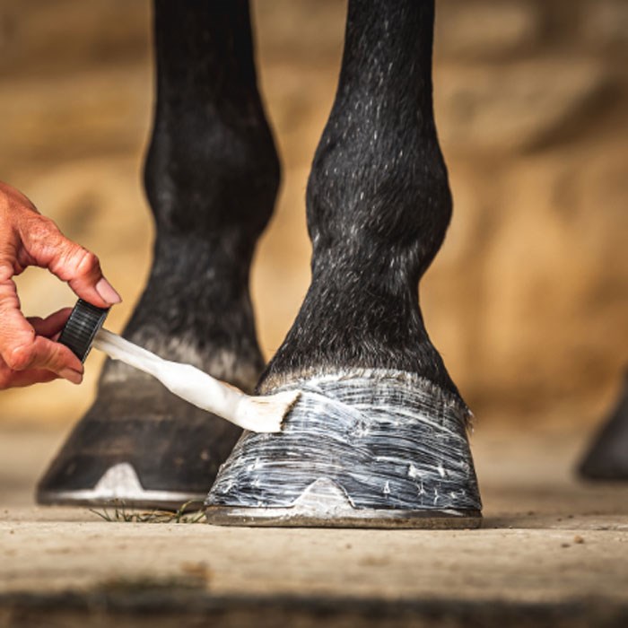 CarrDayMartin Daily Hoof Moisturizer - fugtgivende hovcreme til tørre hove