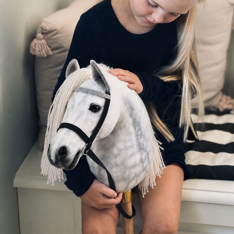 Cheval Roi kæphest - Paloma AI