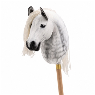Cheval Roi kæphest - Paloma