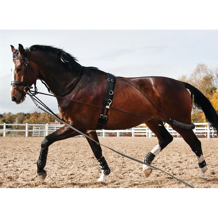 HorseGuard "pessoa" longesystem