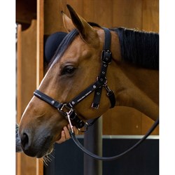Cavalleria Toscana grime nylon - sort