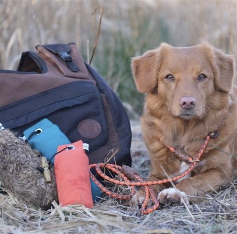 Fenriz Dummy Green 500 gr. stemning