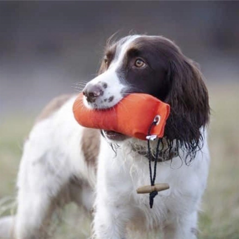 Fenriz Dummy Green 500 gr. detalje