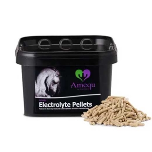 Dangro Amequ Electrolyte Pellets 2kg.