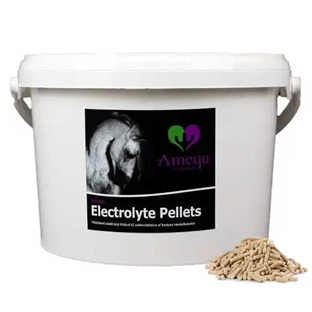 Dangro Amequ Electrolyte Pellets 6kg.