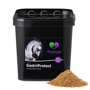 Dangro Amequ GastriProtect 3 kg.