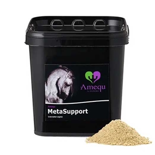 Dangro Amequ MetaSupport 3 kg.