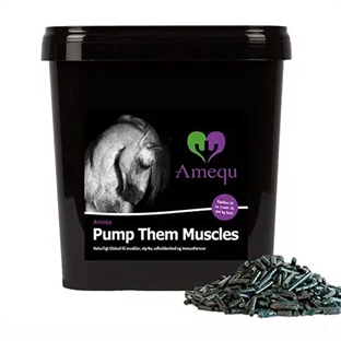 Dangro Amequ Pump Them Muscles (Spirulina Pellets) 3 kg.