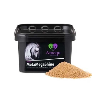 Dangro Amequ MetaMegaShine 1 kg.