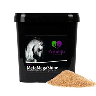 Dangro Amequ MetaMegaShine 3 kg.