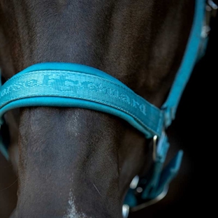 HorseGuard grime "Diya 2.0" - Arctic