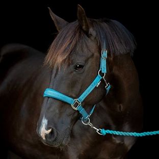 HorseGuard grime "Diya 2.0" - Arctic