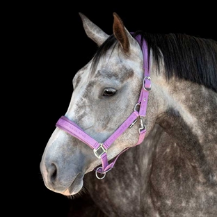 HorseGuard grime "Diya 2.0" - Lavender Herb