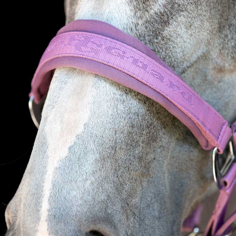 HorseGuard grime "Diya 2.0" - Lavender Herb