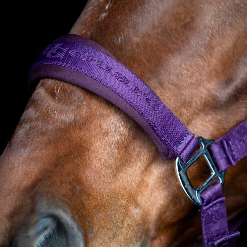 HorseGuard grime "Diya 2.0" - Purple Pennant