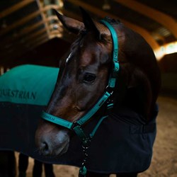 Equestrian Stockholm Sycamore Green grime på hest