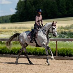 Brun hut Amaranth på hest fra Equestrian Stockholm