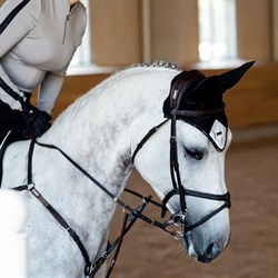 Luminous Black hut fra Equestrian Stockholm på Skimme hest