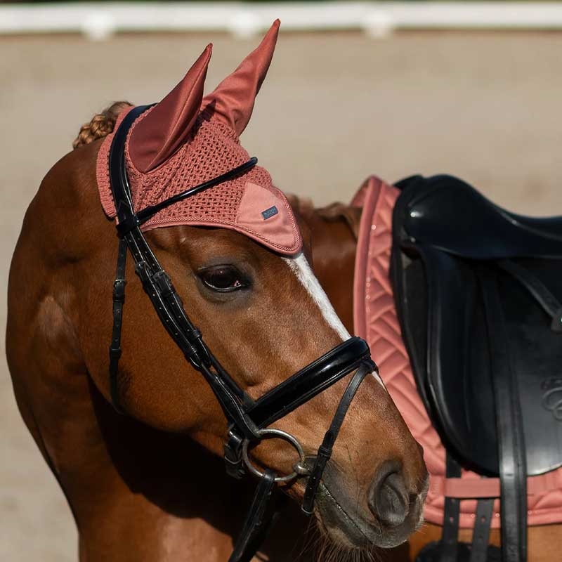 Equestrian Stockholm hut modern coral fra siden på rød hest