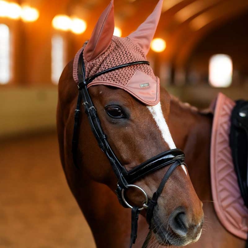 Equestrian Stockholm hut modern coral fra siden rød hest i solnedgang