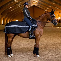 Hest med lændedækken med refleks "Luminous Black" fra Equestrian Stockholm