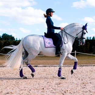 Equestrian Stockholm underlag "Lavender" på hest 