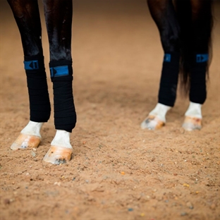 Equestrian Stockholm fleecebandager i blå glimmer