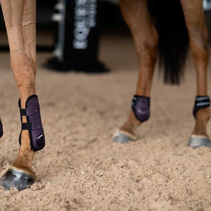 Equestrian Stokholm springgamacher påhest Black Raven lilla