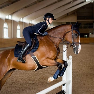 Hest springer med springgamacher modern tech navy fra Equestrian Stockholm