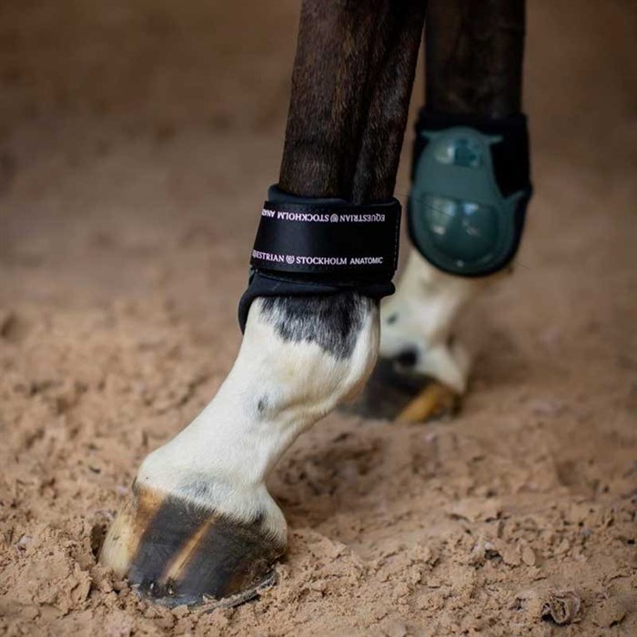 Bagebens gamacher i sycamore Green fra Equestrian Stockholm på hesteben