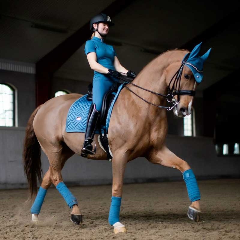 Hest rider med Equestrian Stockholm Amalfi underlag