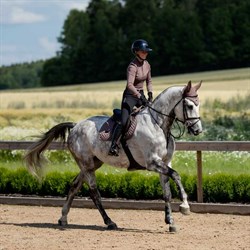 Hest galoperer med Equestrian Stockholm brunt underlag "Amaranth"
