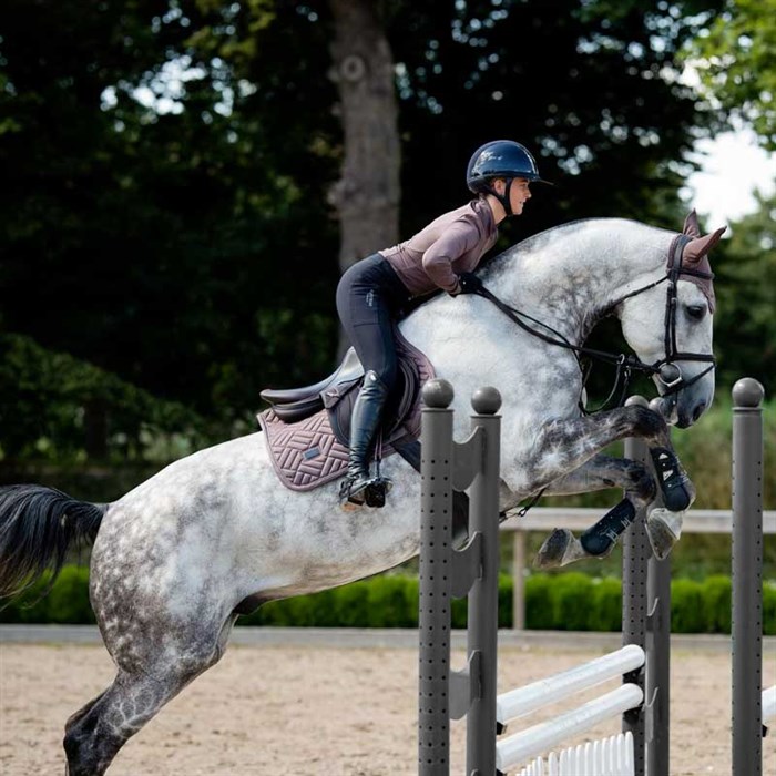 Hest pringer med Equestrian Stockholm Amaranth underlag