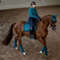 Equestrian Stockholm sadelunderlag på hest der rides, Aurora Blues i blå/grøn