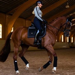 Luminous Black refleks underlag på hest fra Equestrian Stockholm