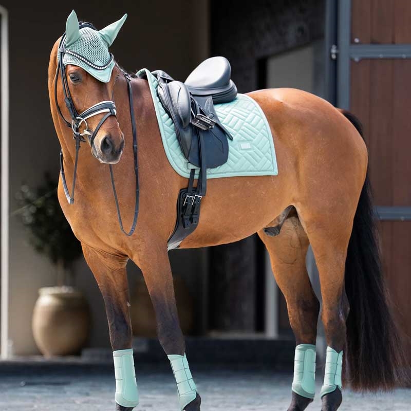 Equestrian stockholm underlag - modern mint greenpå hest stående