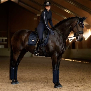 Hest rider med smukt underlag Equestrian Stockholm modern tech navy