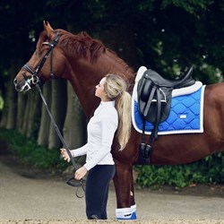 Det lækre Sapphire Blue underlag fra Equestrian Stockholm på hest