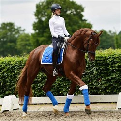 Equestrian Stockholm underlag Sapphire, hest rider med