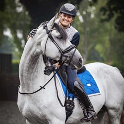 Se Sapphire Blue underlag fra Equestrian Stockholm på hest der blver redet med