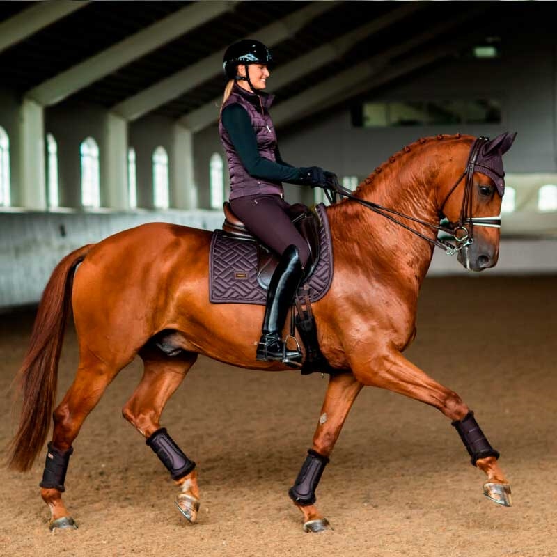 Equestrian Stockholm underlag Modern Moonless Night på hest