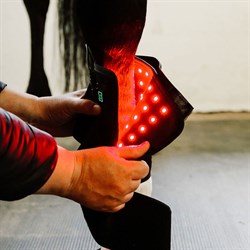 EquiLight pad - LED lysterapi til heste og mennesker