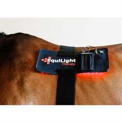 EquiLight pad - LED lysterapi til heste og mennesker