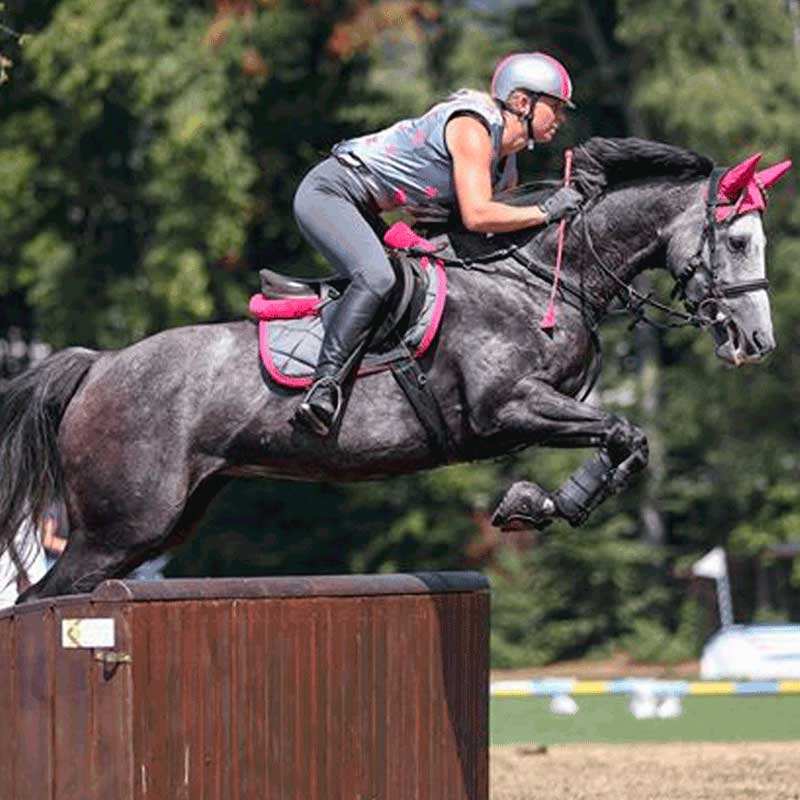 Hov boots fra Equine på hest