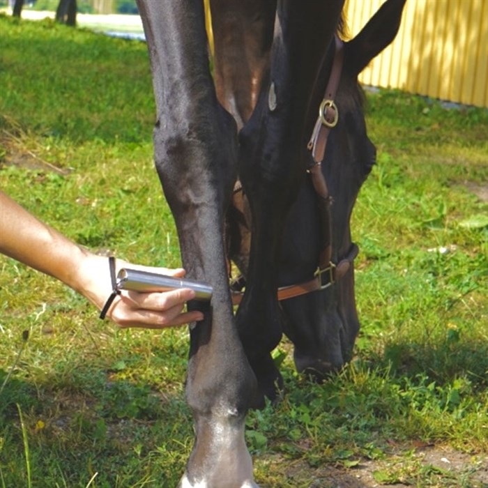 Equine LTS - Power Torch set på hesteben