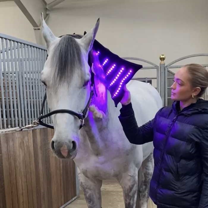 Equine LTS 3.0 neopren